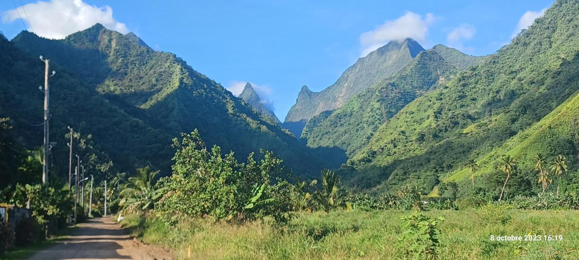 Hava'E Lodge Teahupoo Kültér fotó